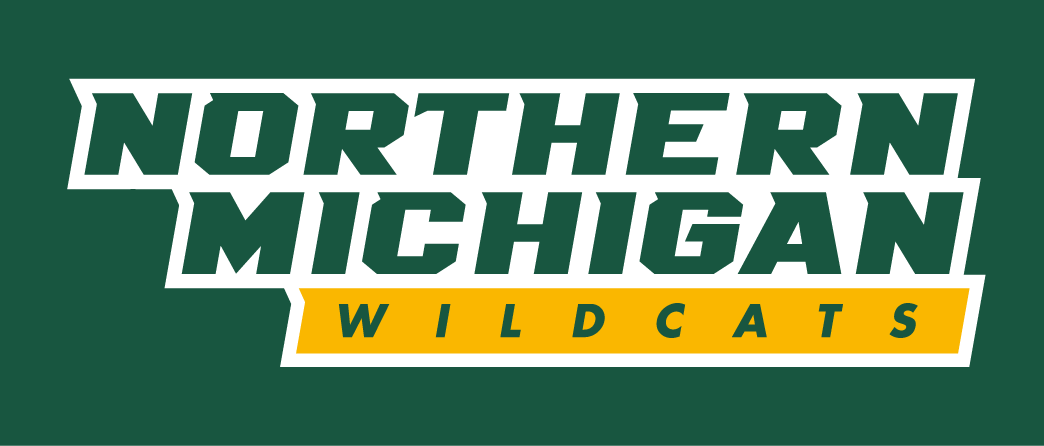 Northern Michigan Wildcats 2016-Pres Wordmark Logo iron on transfers for clothing